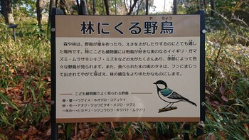 Unknown Species 横浜市こども植物園 Sat, 12/25/2021