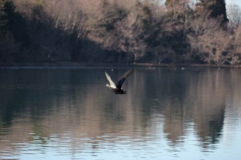 未同定 場所が不明 2022年1月4日(火)