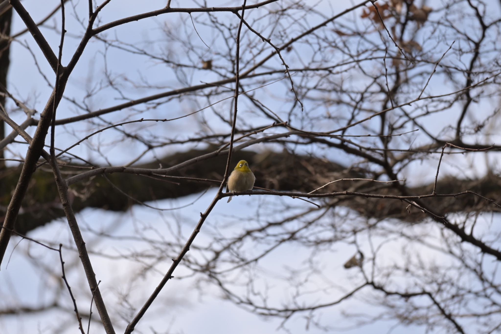 Untitled Photo by 鳥見はじめました