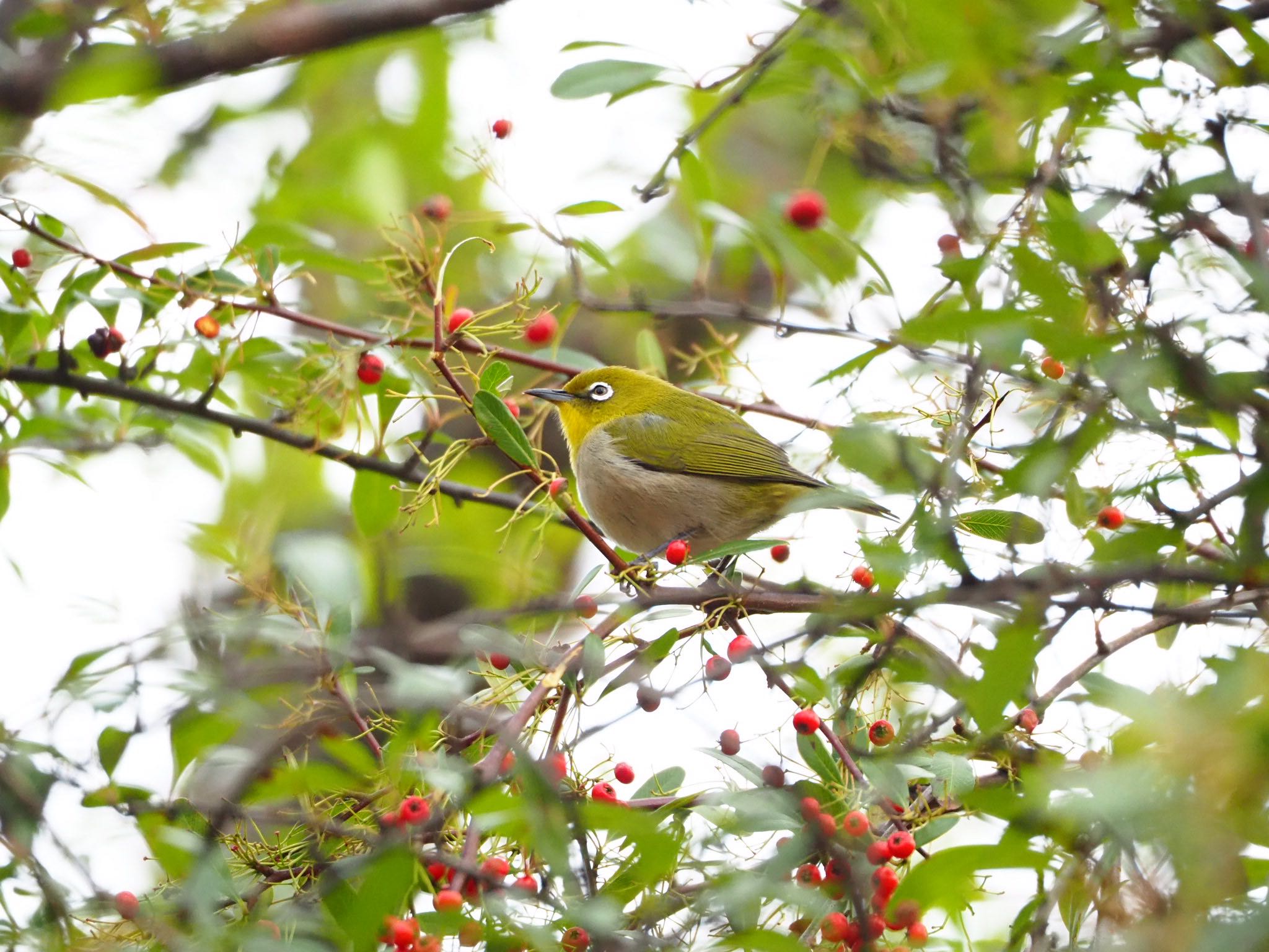 Untitled Photo by りょうぴ