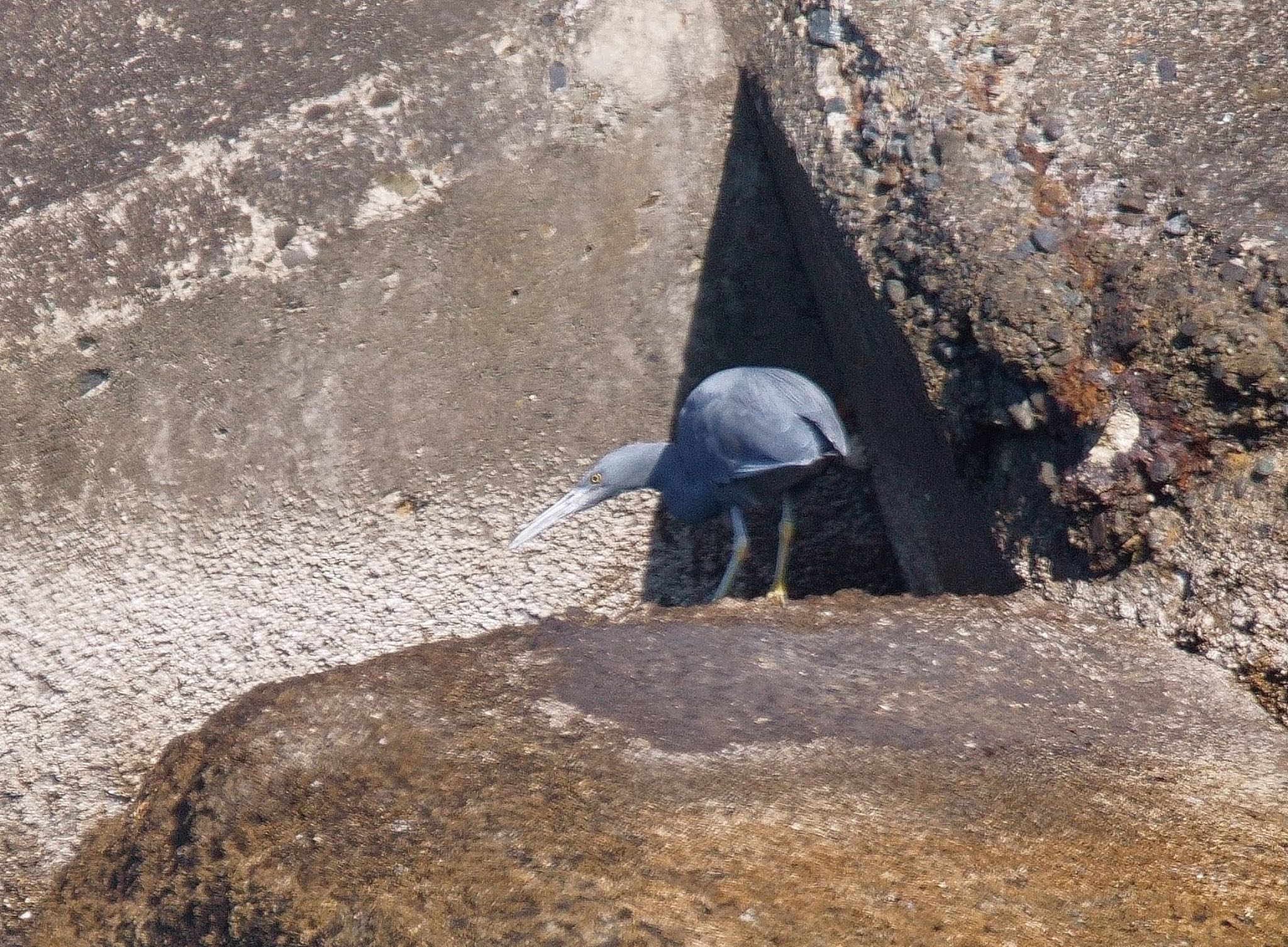 ちょっと遠い