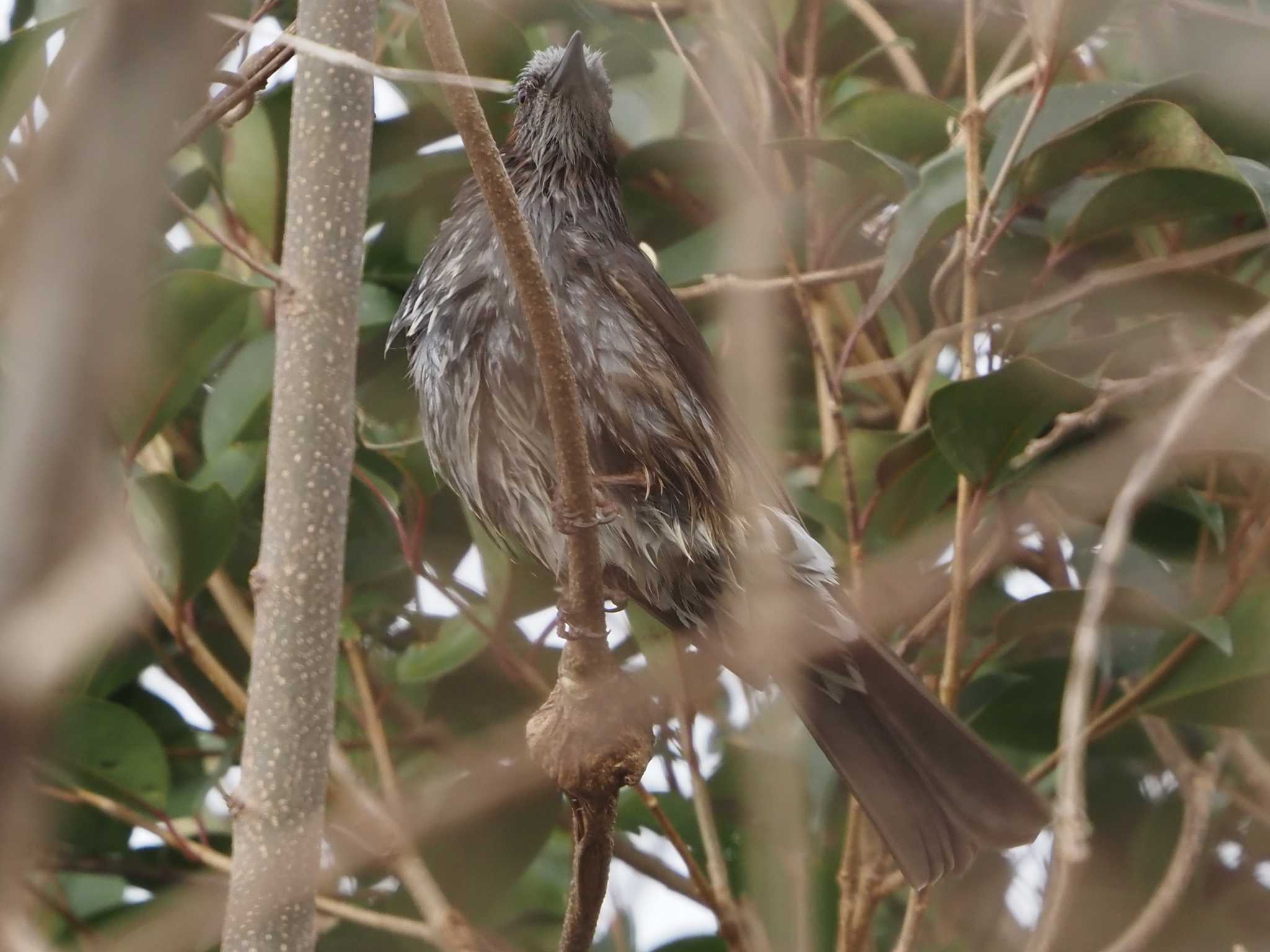 なぜそこまで濡れ鼠に😲