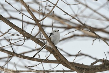 未同定 場所が不明 2022年2月12日(土)