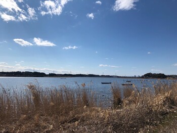 2022年2月23日(水) 手賀沼の野鳥観察記録