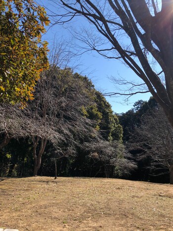 2022年2月23日(水) 手賀の丘公園の野鳥観察記録