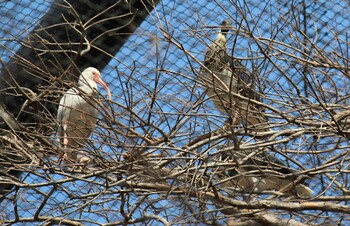 未同定 大宮小動物園 2022年3月5日(土)