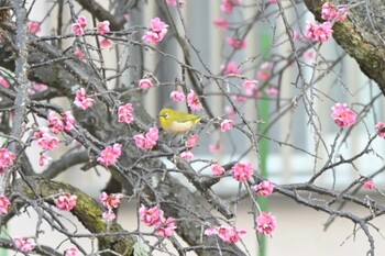 未同定 場所が不明 2022年3月11日(金)