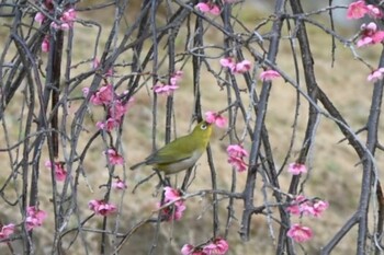 未同定 場所が不明 撮影日未設定