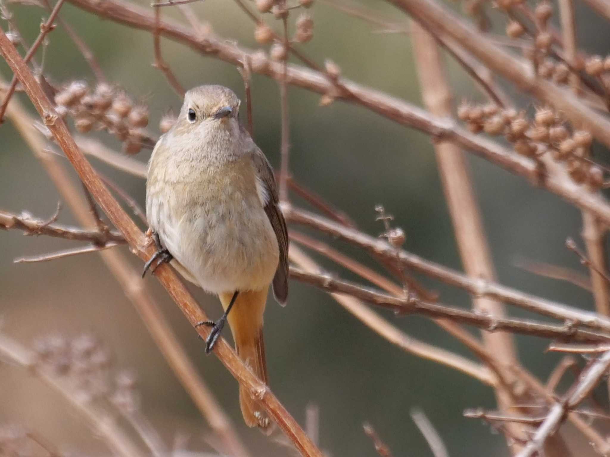 もう、帰る時間なの・・？ by little birds