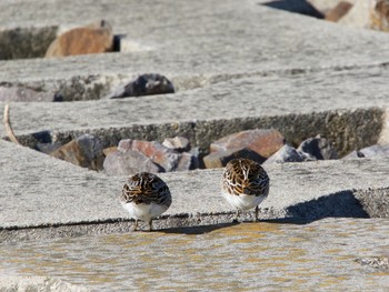 キリアイ 愛知県 2017年9月18日(月)