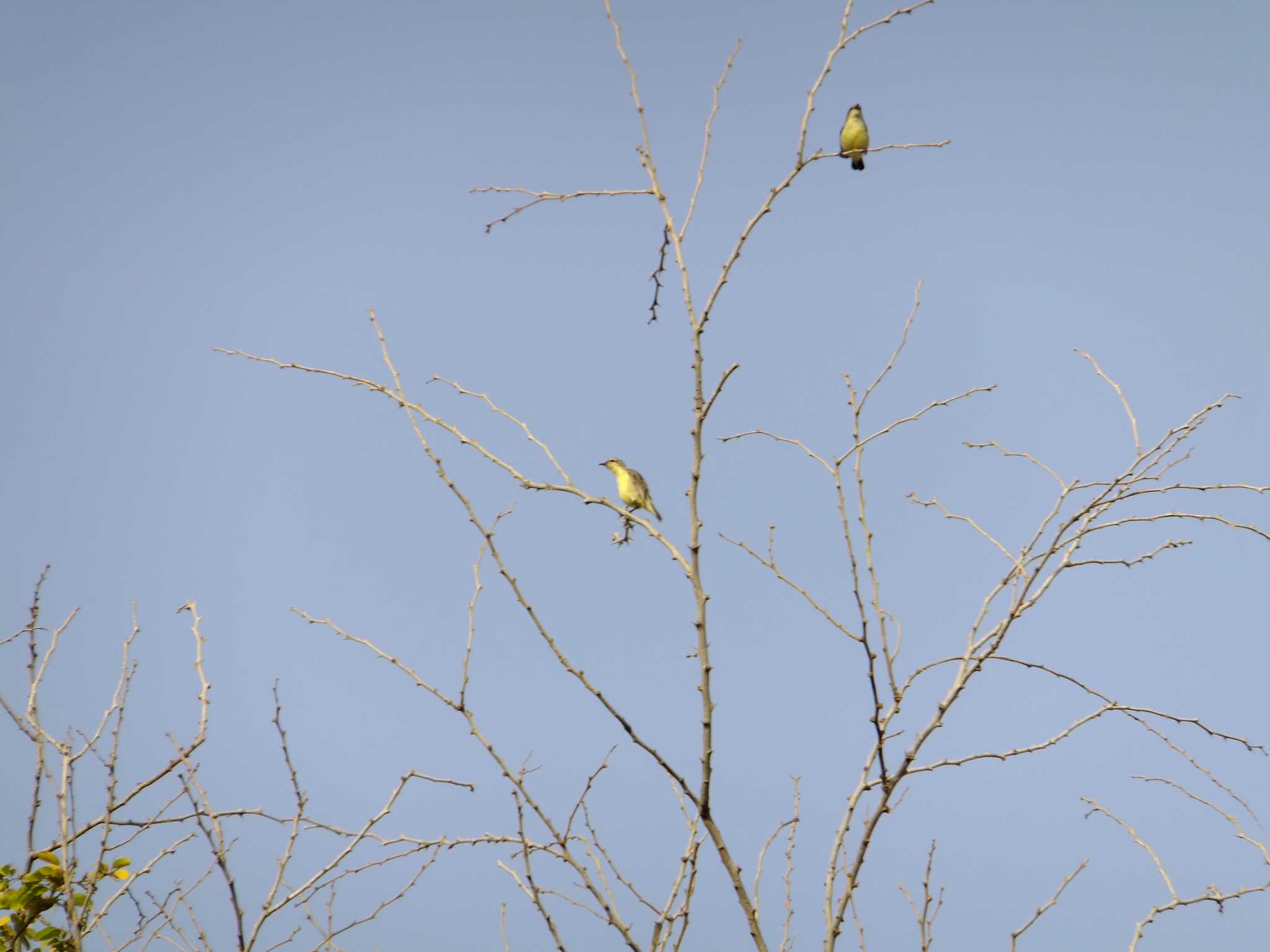 Untitled Photo by Tsubasa Abu