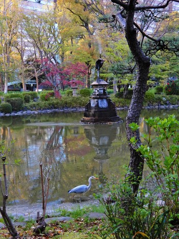 Fri, 4/8/2022 Birding report at Hibiya Park