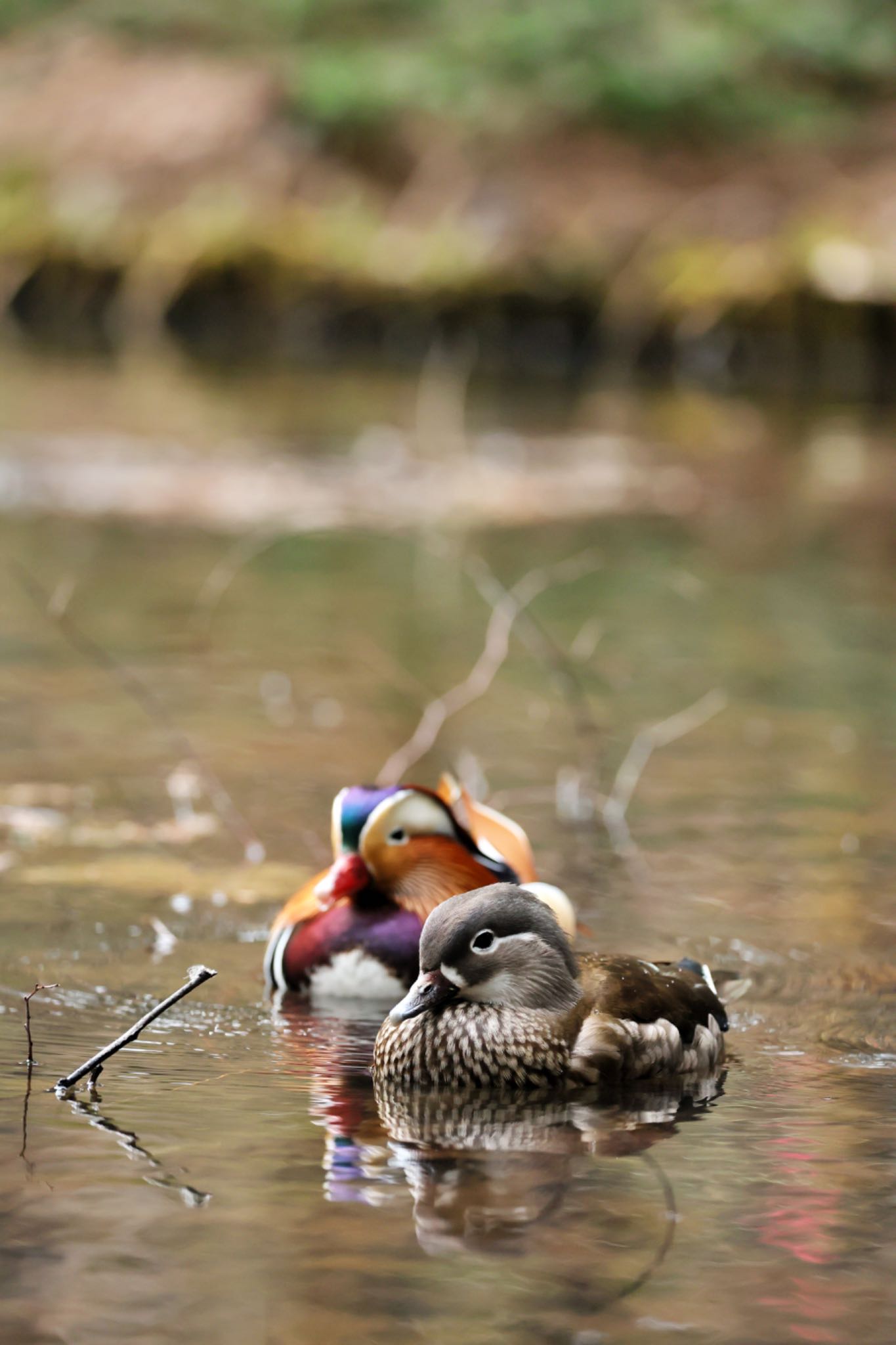 Untitled Photo by ウレシカ