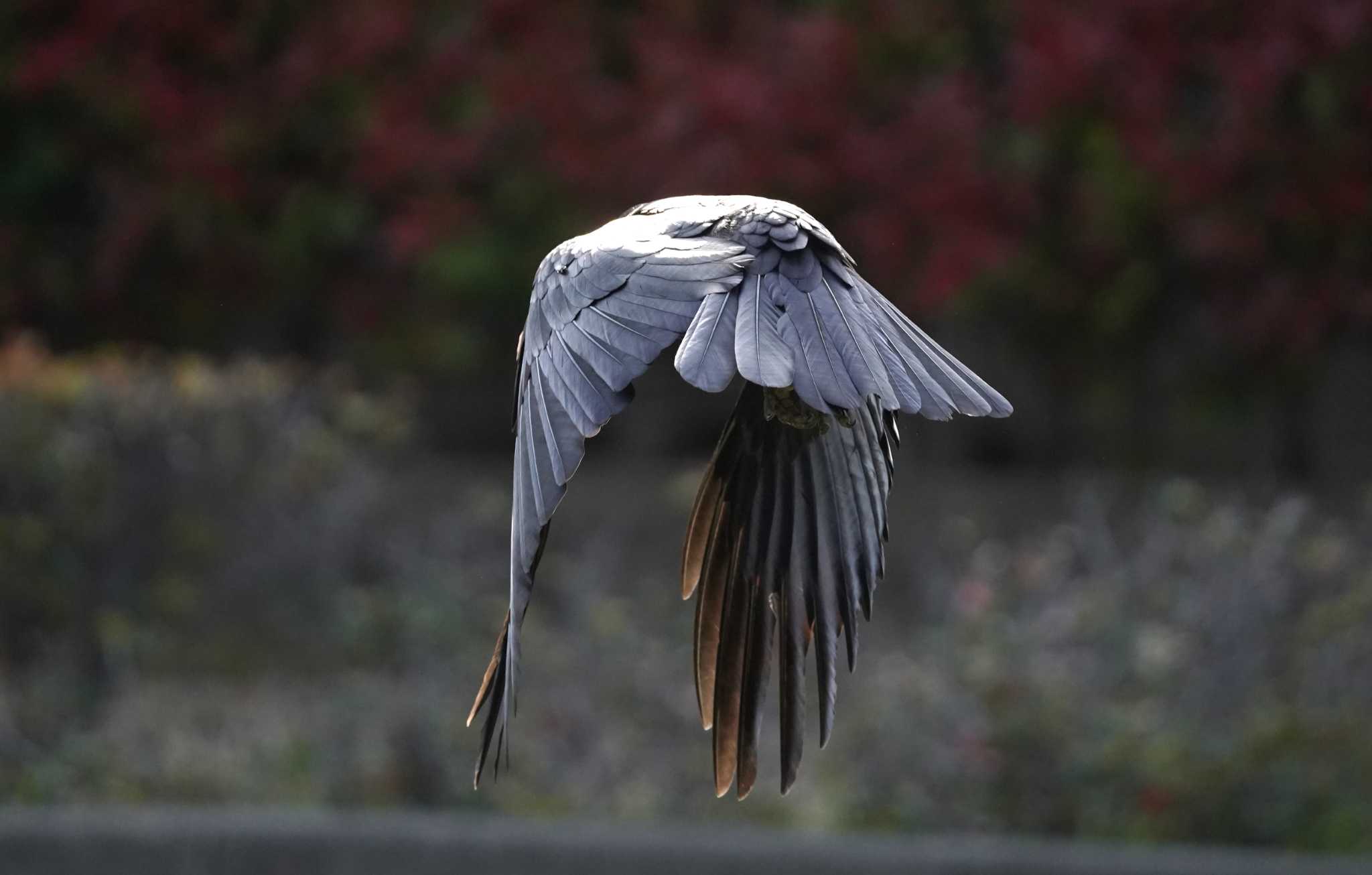 Untitled Photo by Tsubasa Abu