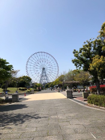 未同定 葛西臨海公園 2022年4月22日(金)