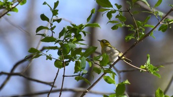 未同定 場所が不明 撮影日未設定