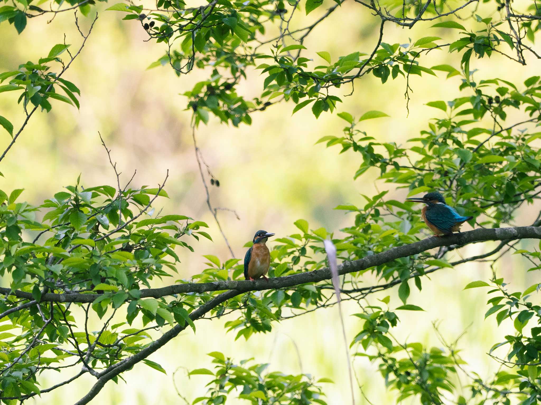 Untitled Photo by Seiji Hashimoto