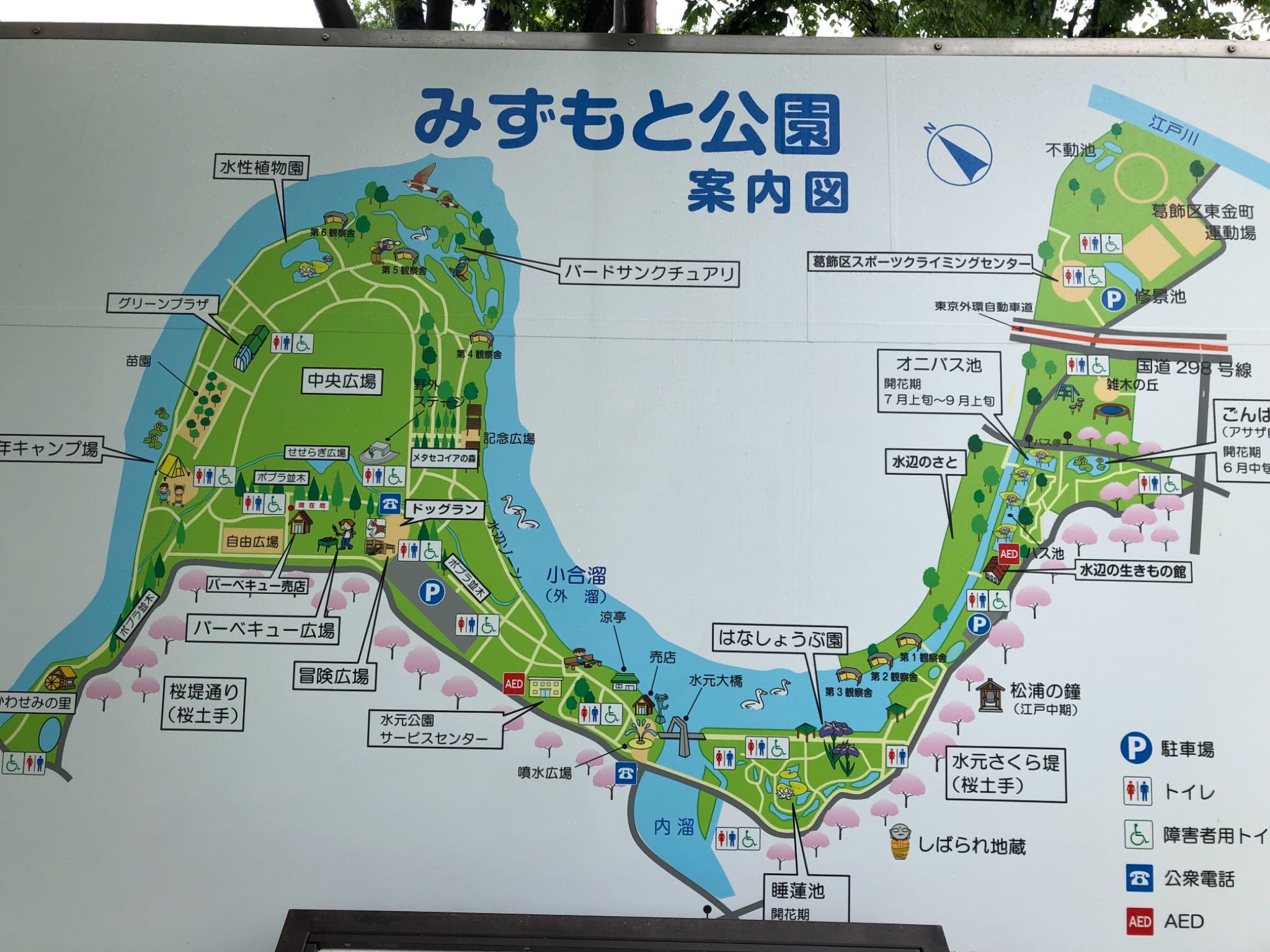 水元公園案内図 by とりママけいちゃん（アカウント3572）