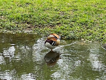 2022年5月13日(金) 北海道大学の野鳥観察記録