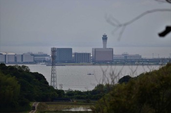 未同定 桧原公園(常滑市) 2022年6月13日(月)