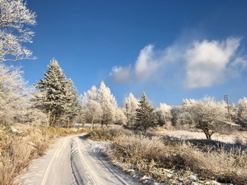 未同定 八ヶ岳 2018年1月2日(火)