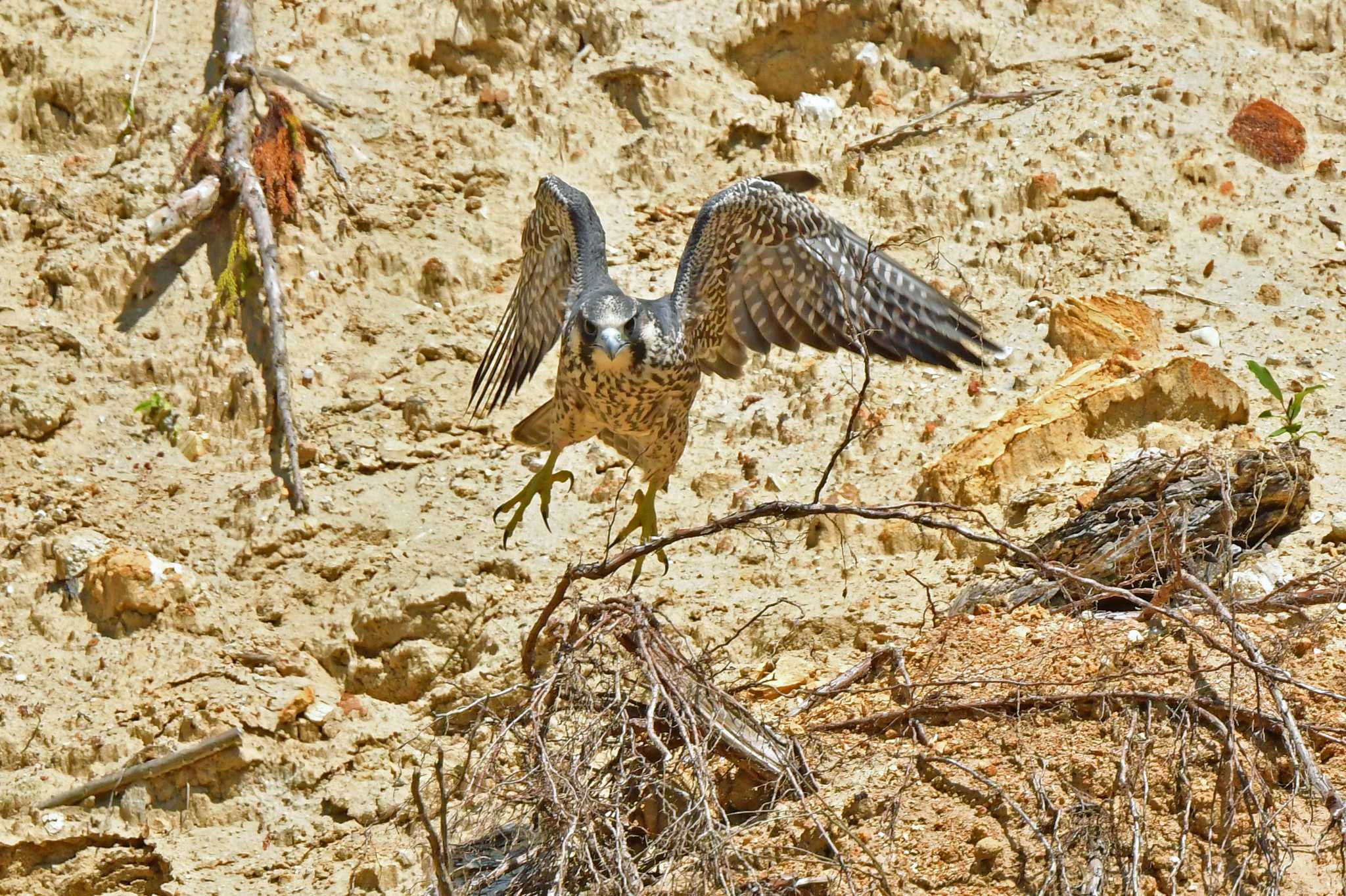 さぁ 行こう！！ by Keiichi TAKEDA