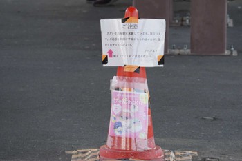 イワツバメ 高尾駅 2022年6月19日(日)