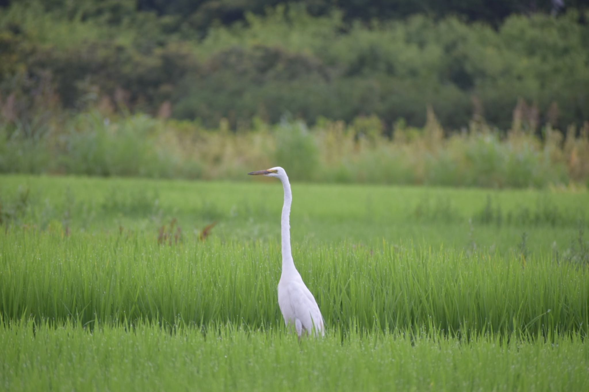 Untitled Photo by masa