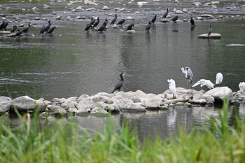 未同定 場所が不明 2022年7月18日(月)