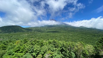 未同定 水ヶ塚公園 2022年7月24日(日)