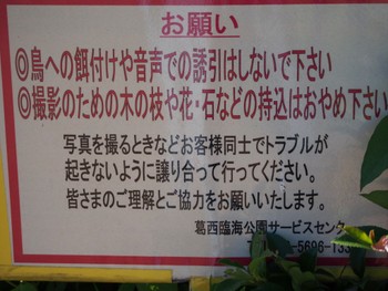 2022年7月29日(金) 葛西臨海公園の野鳥観察記録