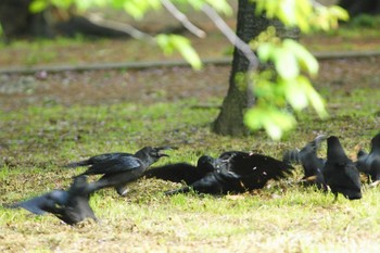 未同定 場所が不明 撮影日未設定