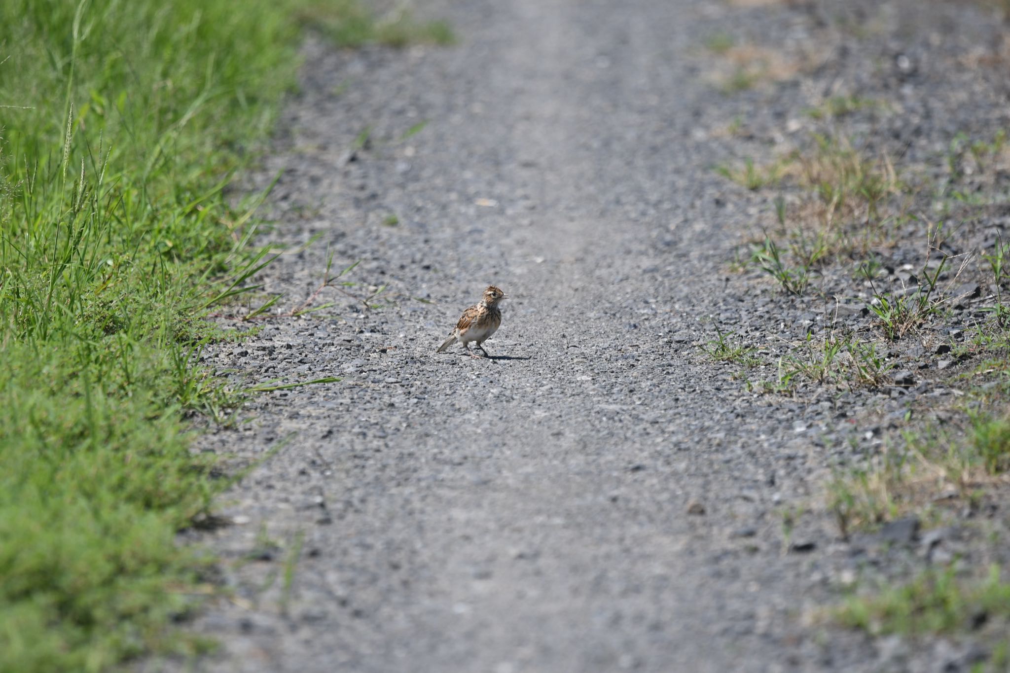 Untitled Photo by Z秀丸