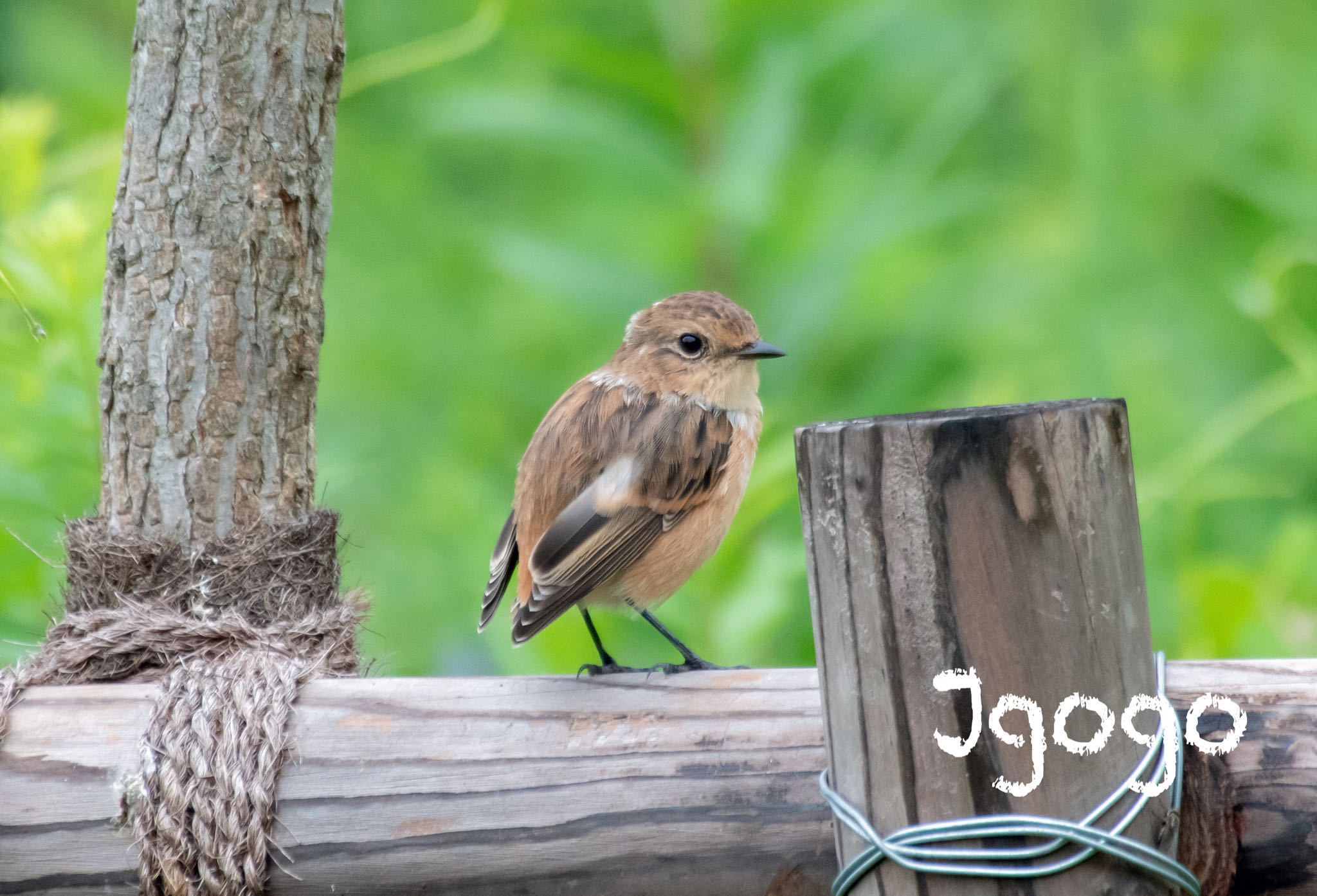 ヒヨコ🐥みたい、、、💦 by Jgogo