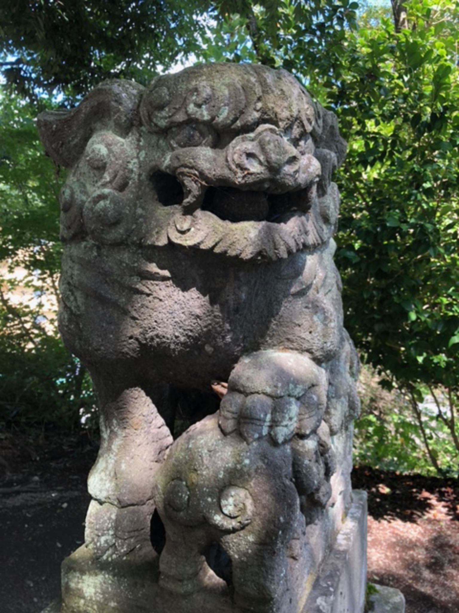 湯泉神社の狛犬