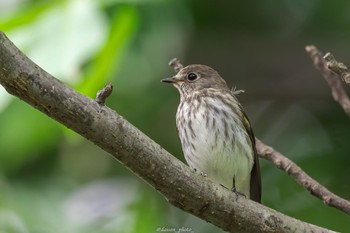 2022年10月9日(日) 東京港野鳥公園の野鳥観察記録