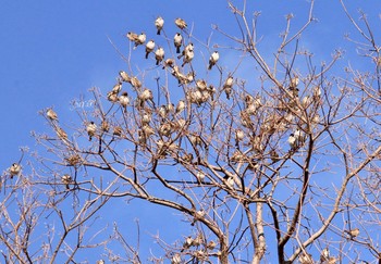 未同定 場所が不明 2018年2月7日(水)