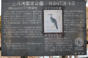 2022年2月18日(金) 鵜ノ池(知多郡美浜町)の野鳥観察記録