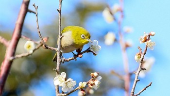 未同定 場所が不明 2022年3月8日(火)