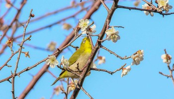 未同定 場所が不明 2022年3月8日(火)