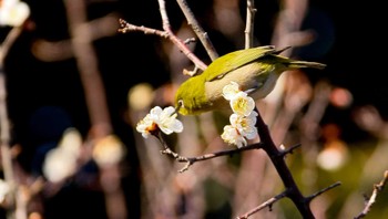 未同定 場所が不明 2022年3月8日(火)