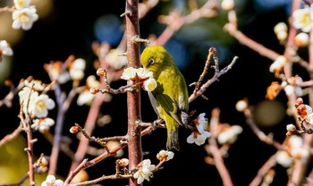 未同定 場所が不明 2022年3月8日(火)