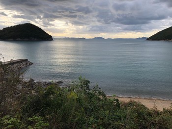 2022年10月8日(土) 小豆島の野鳥観察記録