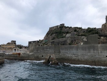 2022年11月22日(火) 軍艦島の野鳥観察記録