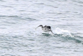 未同定 場所が不明 撮影日未設定