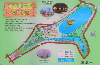 未同定 天王川公園(津島市) 2022年12月21日(水)