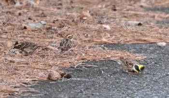 未同定 場所が不明 撮影日未設定