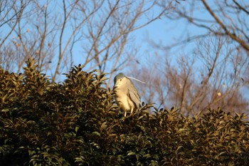 未同定 場所が不明 2023年1月9日(月)