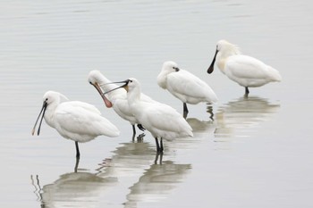 未同定 場所が不明 2023年2月1日(水)