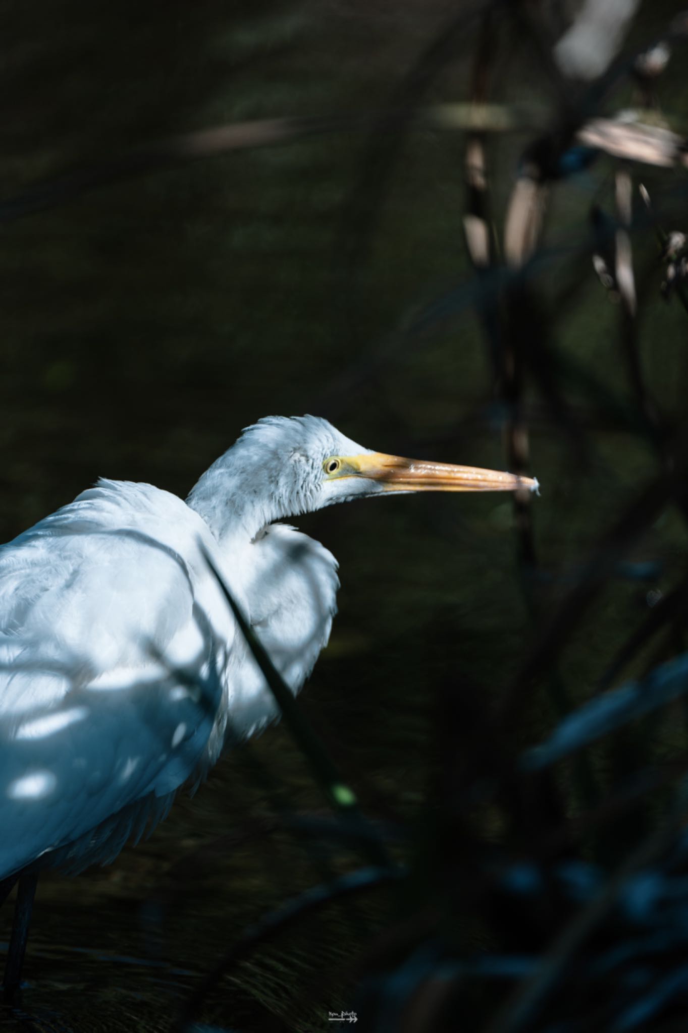 Untitled Photo by ろんべ